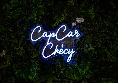 Agence CapCar Checy