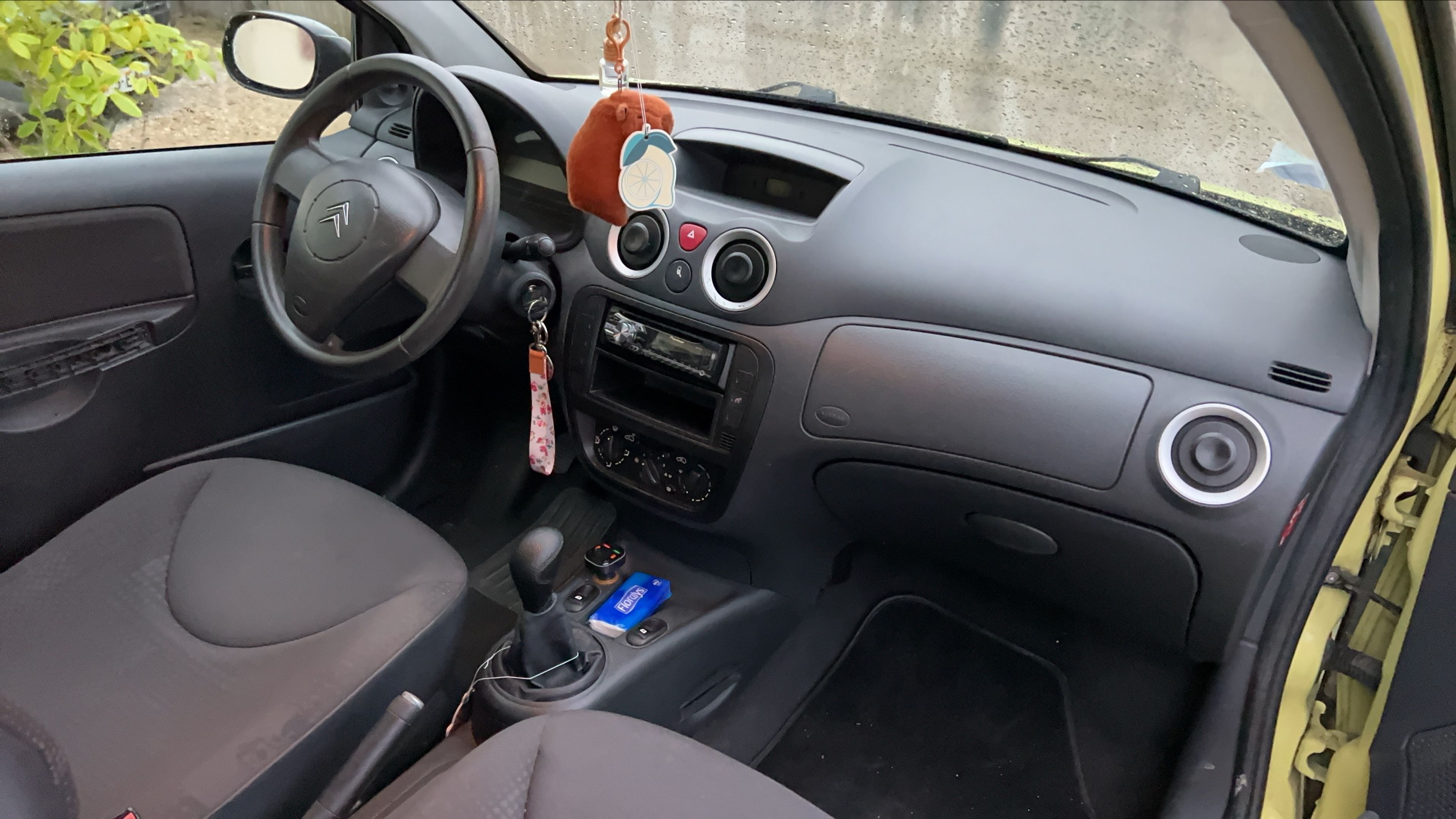 Photo 19
