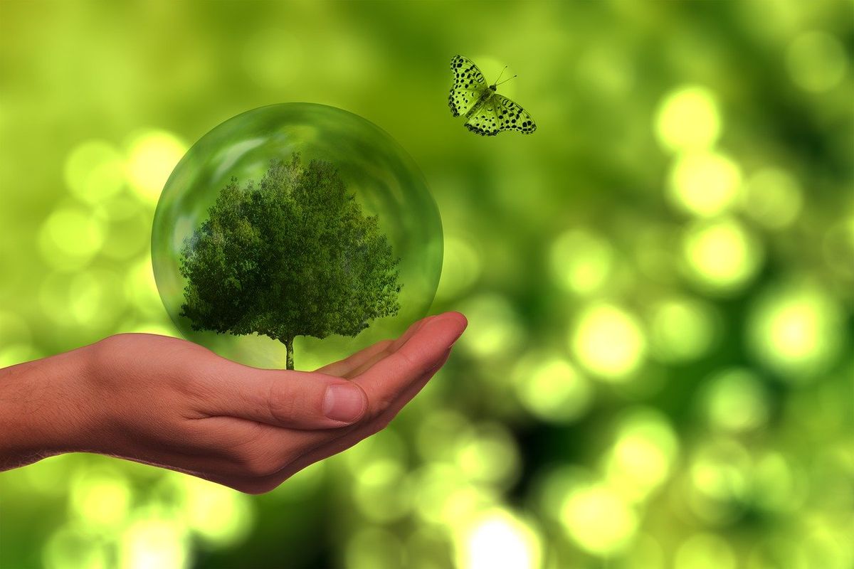 Malus écologique : un nouveau barème pour mars 2025