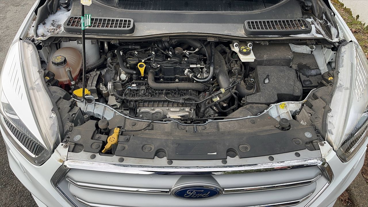 Photo du moteur 1