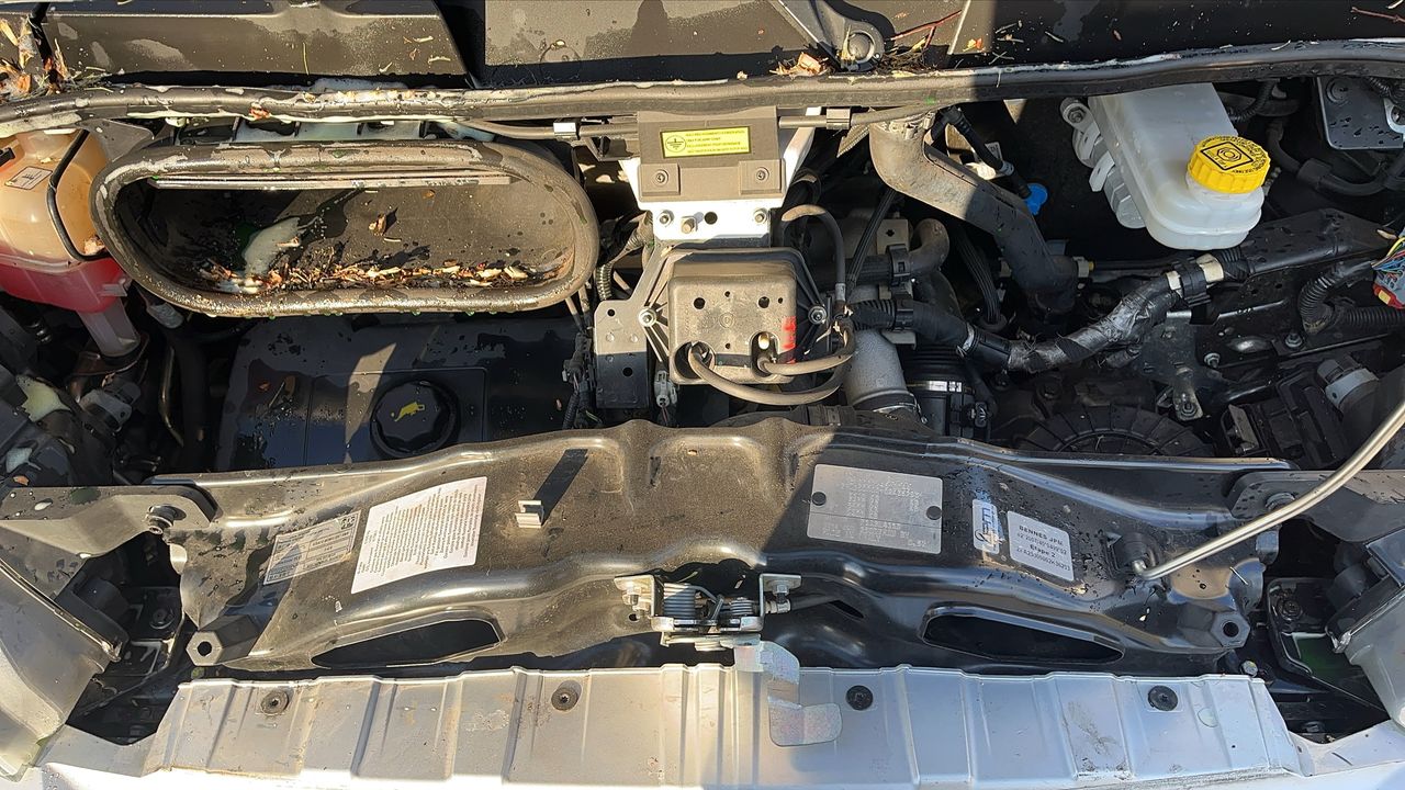 Photo du moteur 1