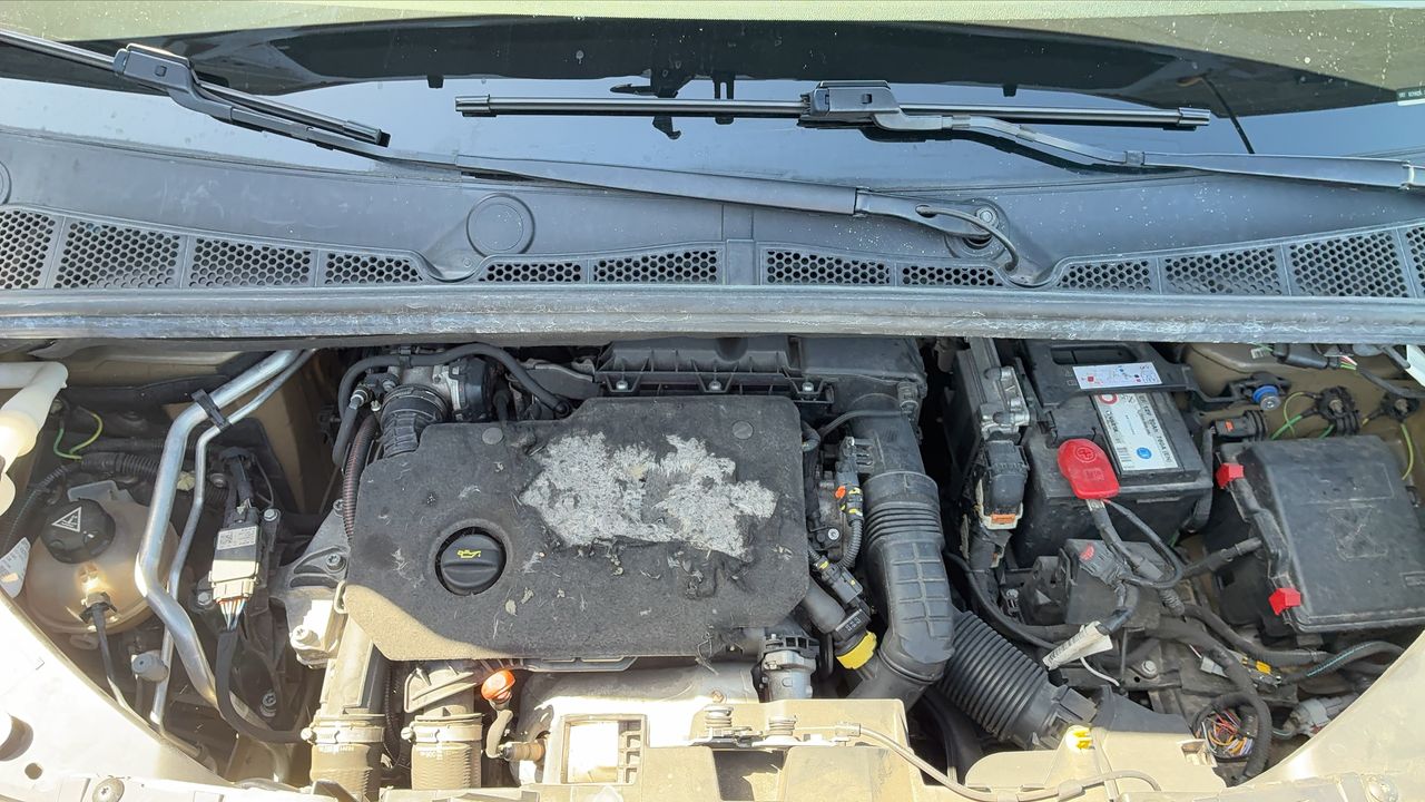 Photo du moteur 1