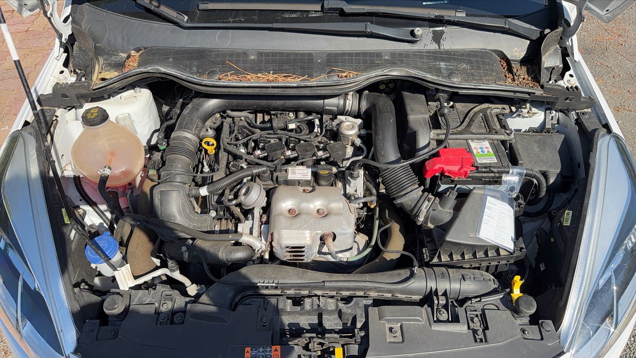 Photo du moteur 1