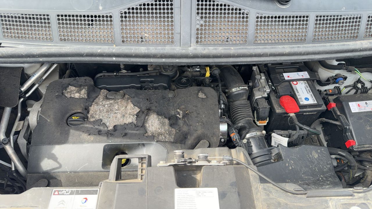 Photo du moteur 1
